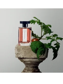 Vétiver Ecarlate Eau de Parfum
