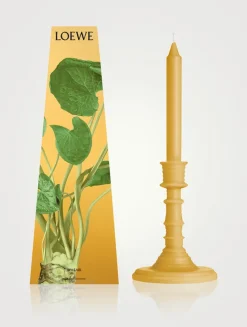 Wasabi Wax Candleholder