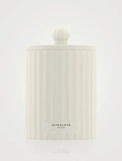 Wild Berry & Bramble Candle