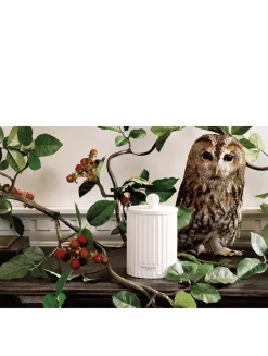 Wild Berry & Bramble Candle