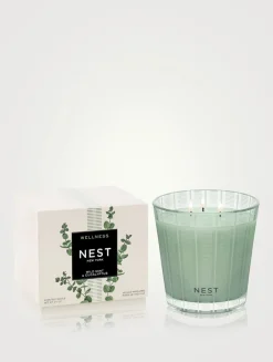 Wild Mint & Eucalyptus Classic Candle