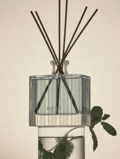 Wild Mint & Eucalyptus Reed Diffuser