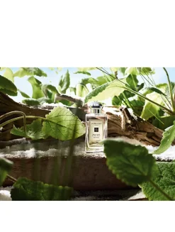 Wood Sage & Sea Salt Cologne