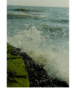 Wood Sage & Sea Salt Exfoliating Shower Gel