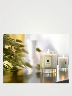 Wood Sage & Sea Salt Scented Candle