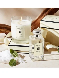 Wood Sage & Sea Salt Scented Candle